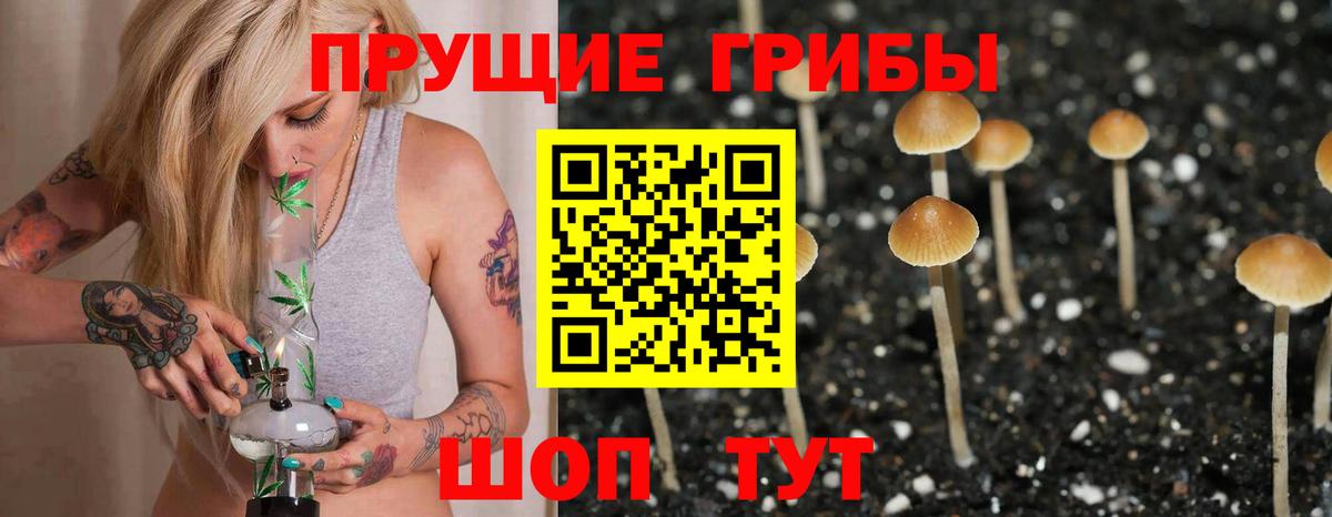 Петропавловск-Камчатский  Псилоцибиновые грибы MAGIC MUSHROOMS  купить наркоту  Вход с VPN 